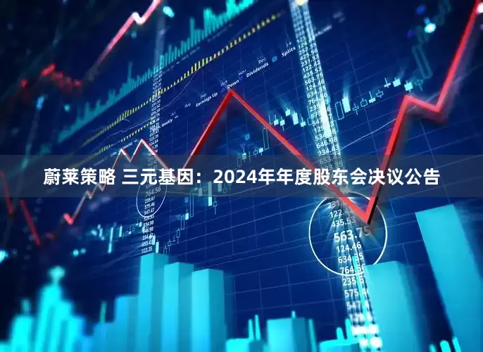 蔚莱策略 三元基因：2024年年度股东会决议公告